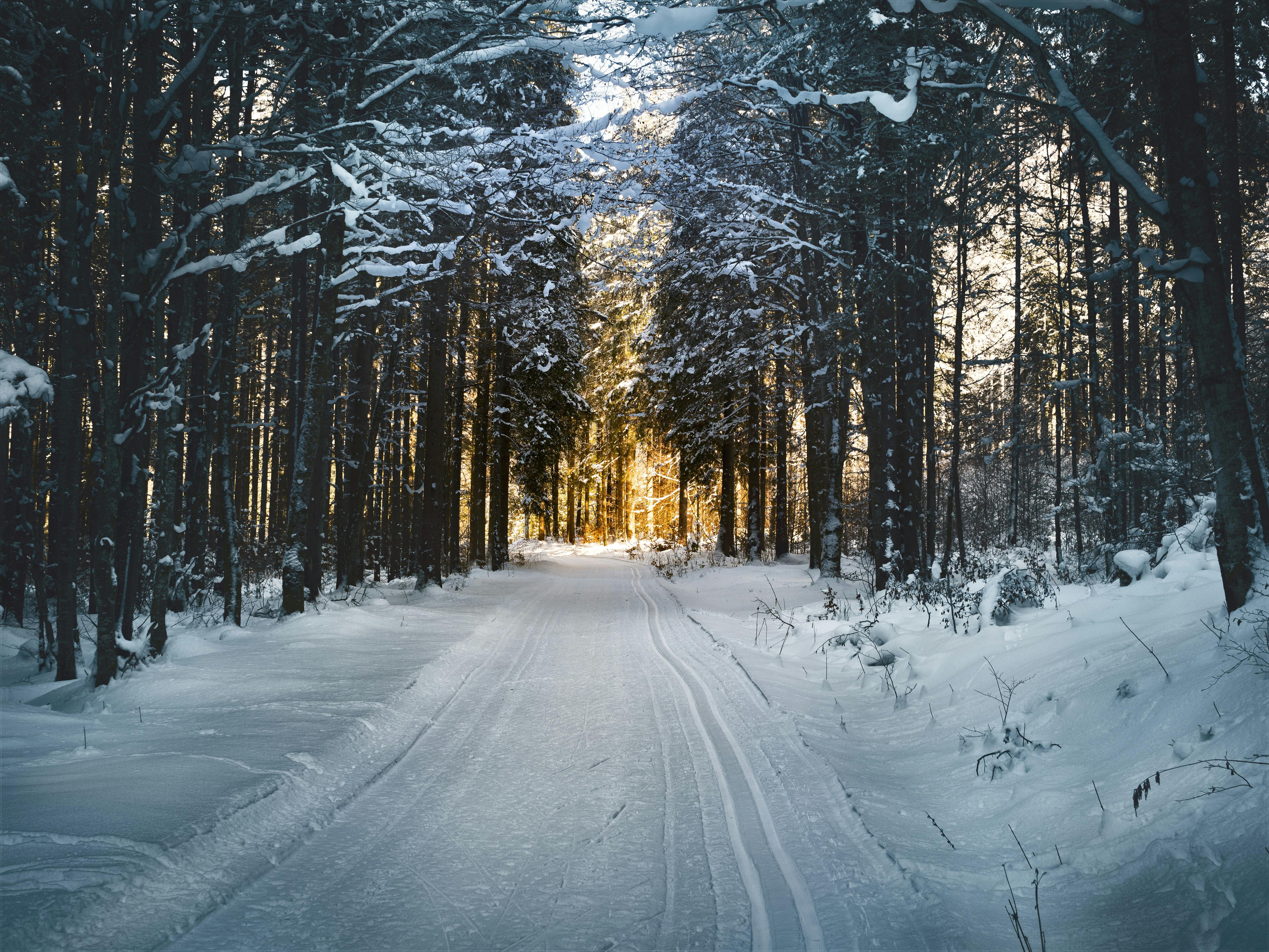 Winter Chaos